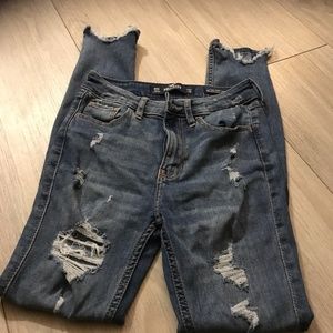 Hollister Jean